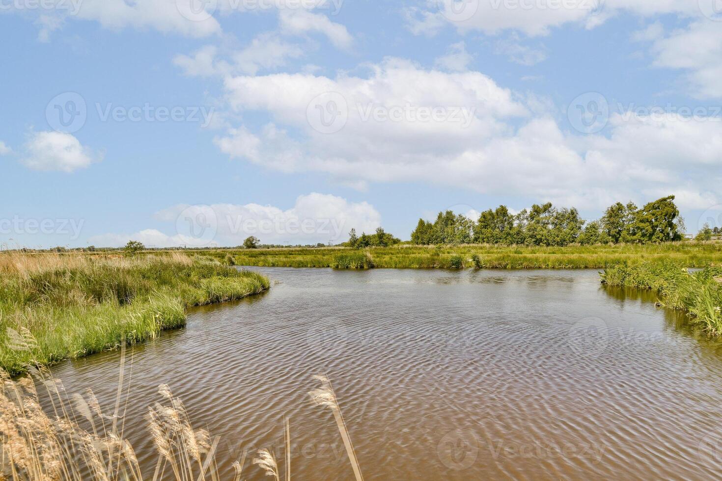 A river with a bridge and a few trees photo