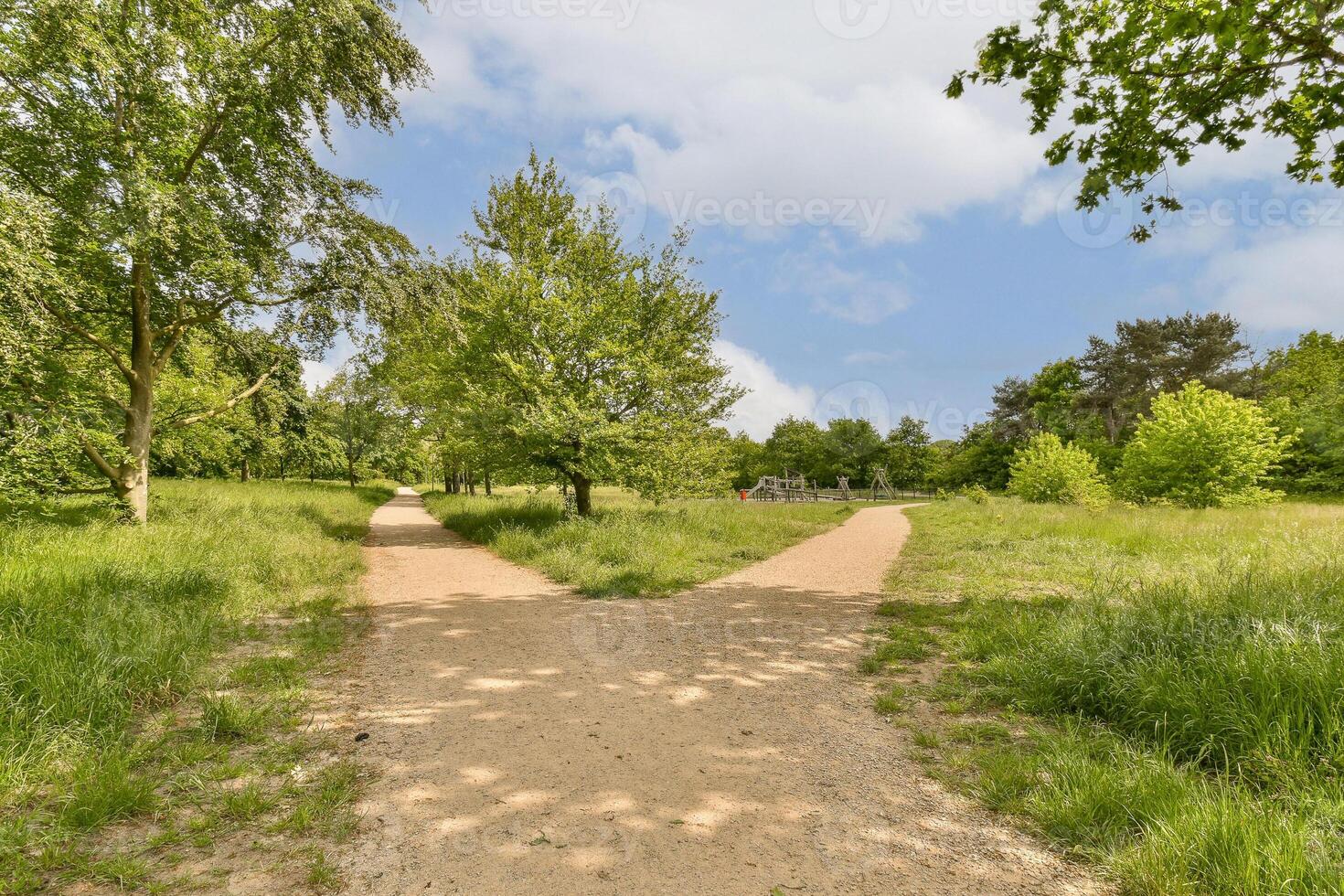 A path that is in a park with trees and grass photo
