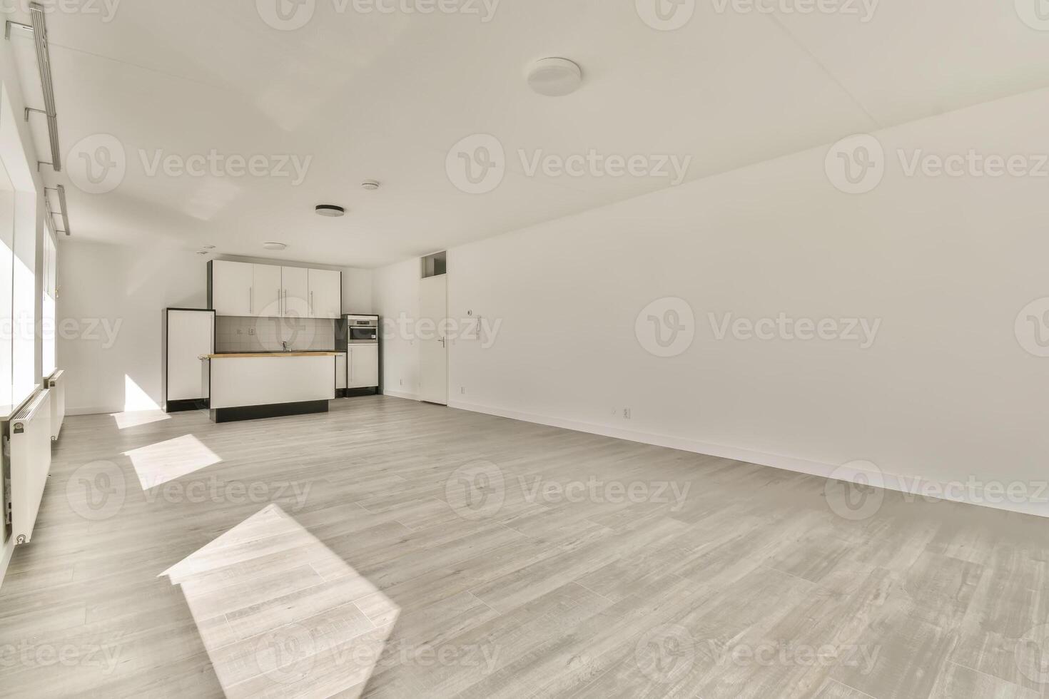 An empty room with white walls and wooden floors photo