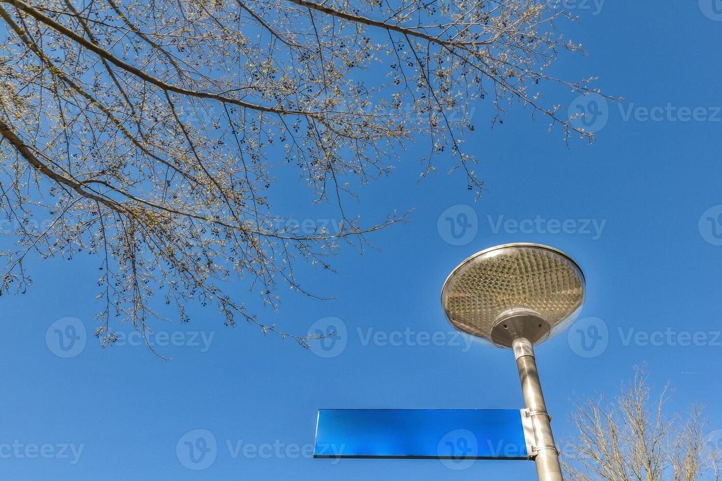 A street sign and a street light photo