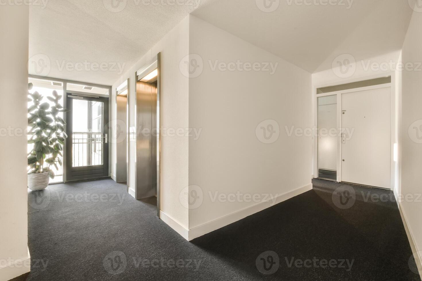 An empty hallway with a door and a plant photo