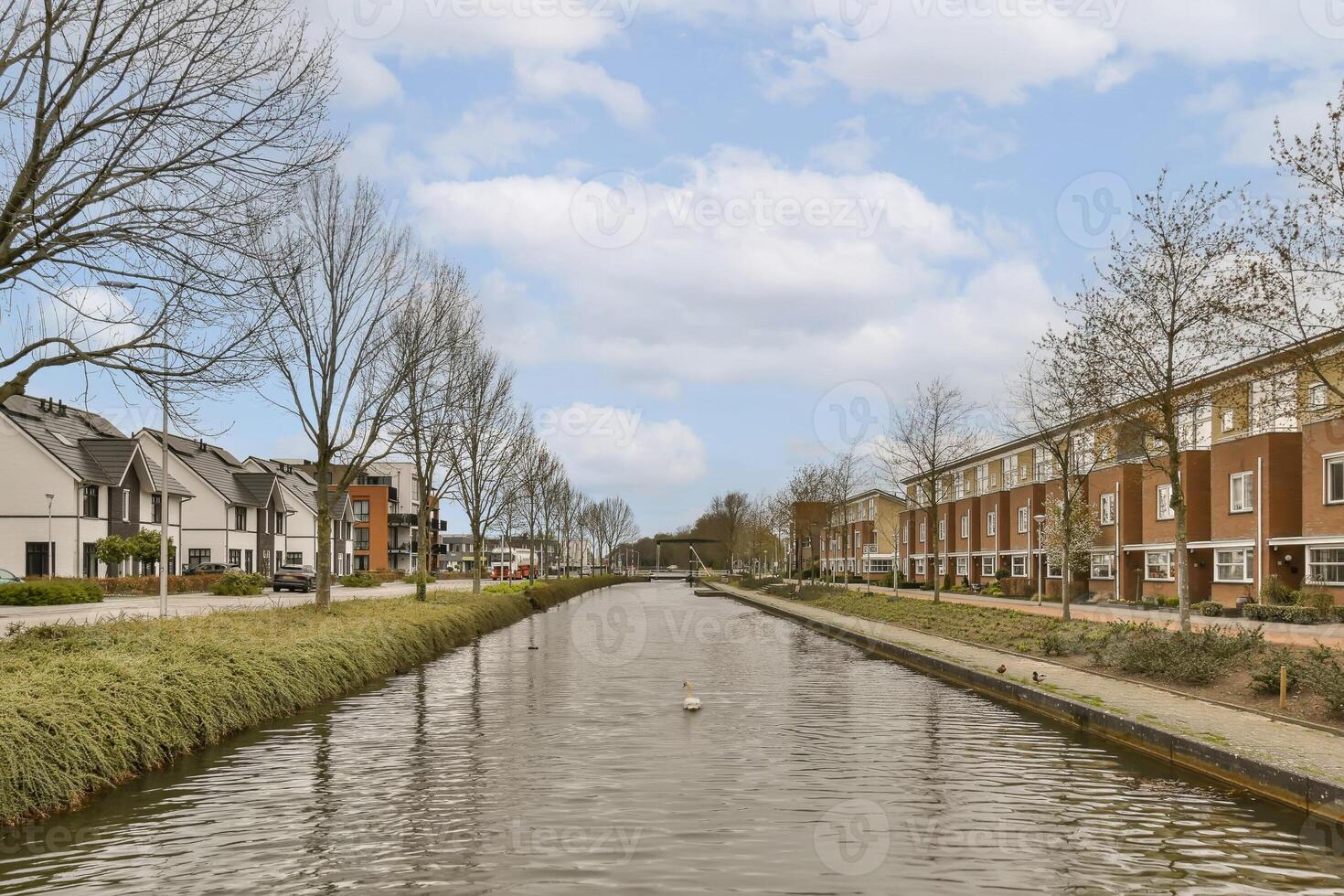 A canal with a duck floating in it photo