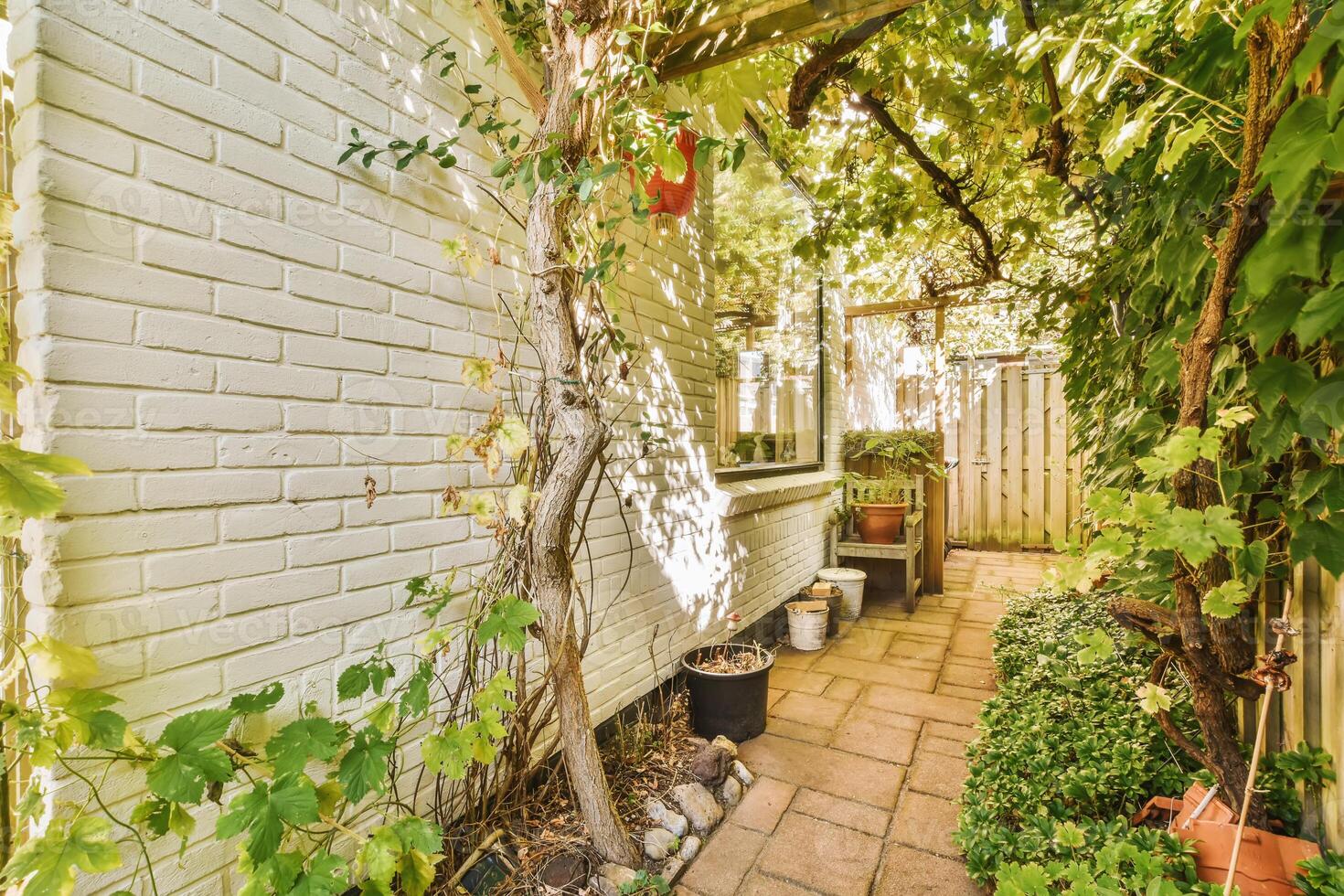 A narrow brick path leads to a white house with potted plants photo