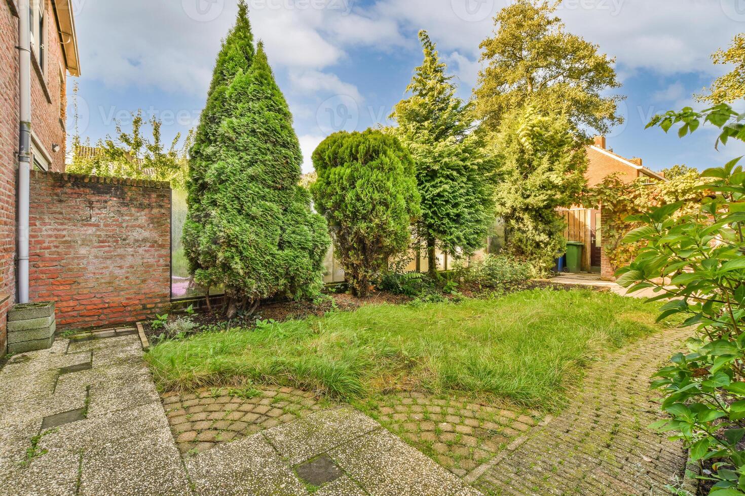 A brick path leads to a yard with trees and bushes photo