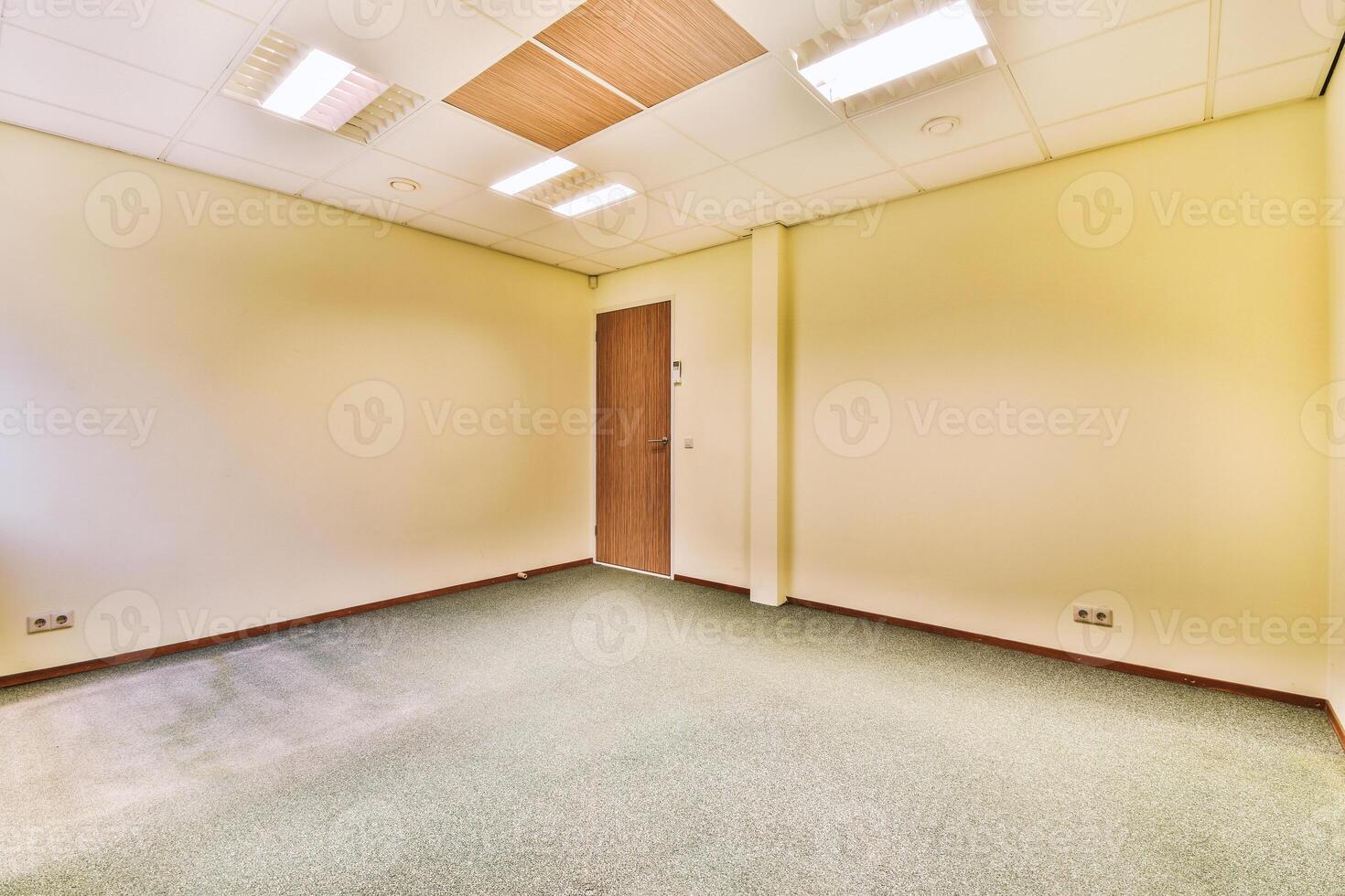 Empty office with yellow walls and carpet photo