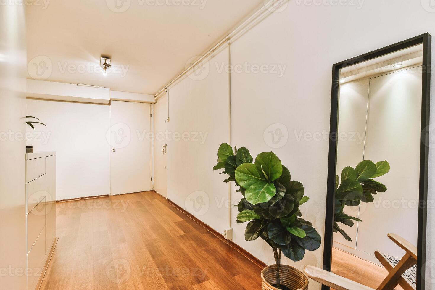 A hallway with a mirror and a plant on the wall photo