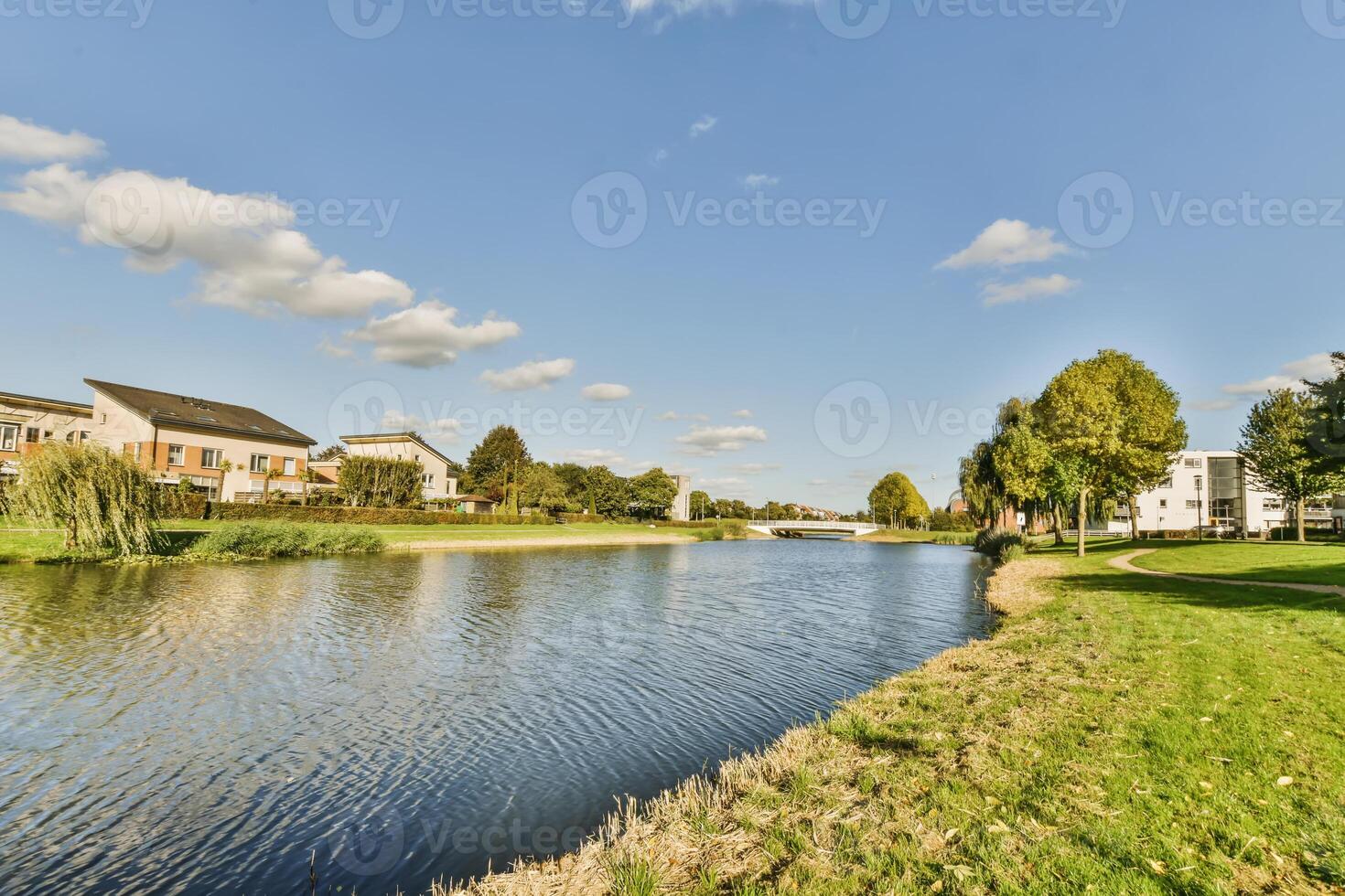 A river in a park photo