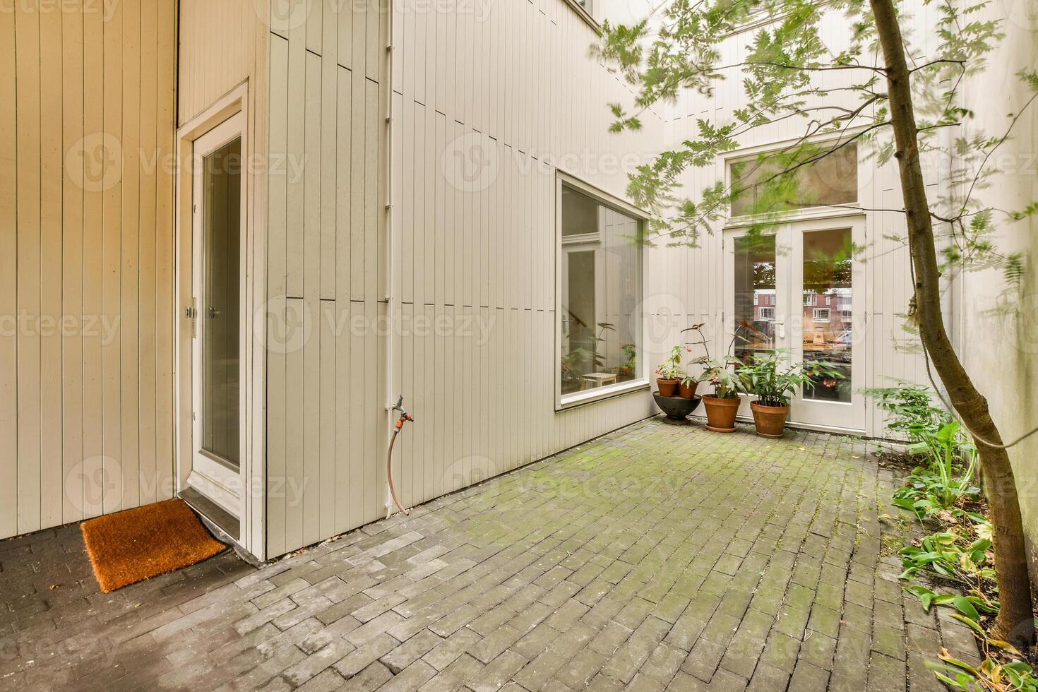A small courtyard with a tree and a door photo