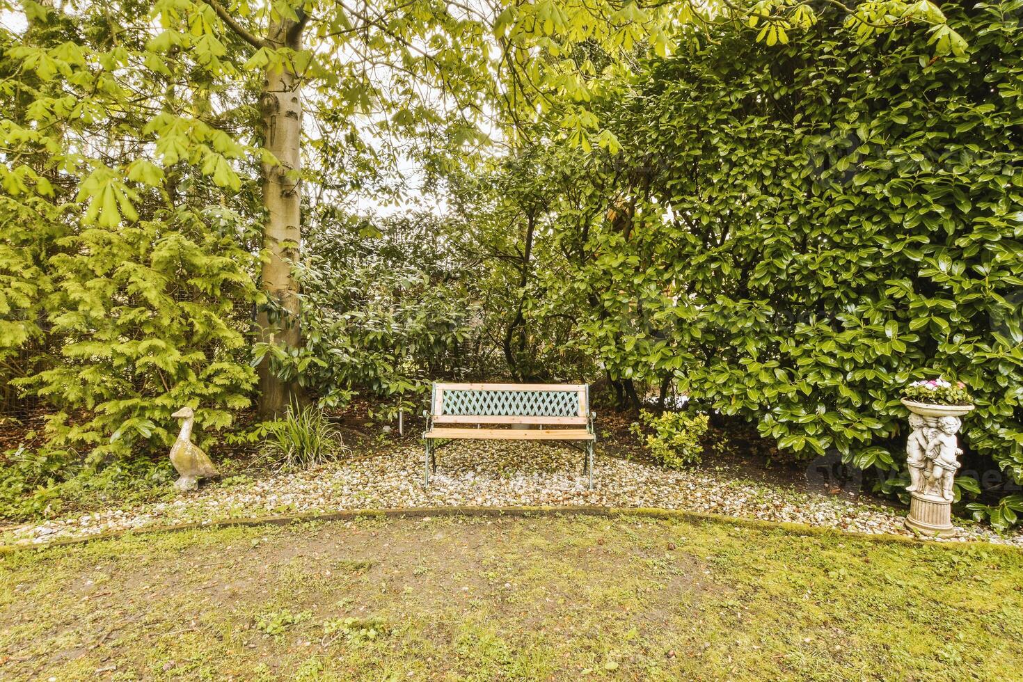 A bench in a garden surrounded by trees photo