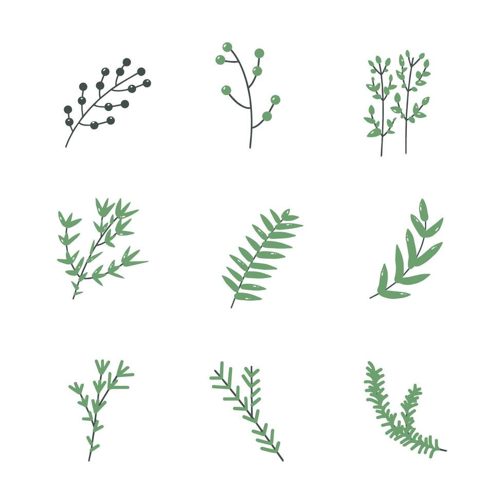 Plant twig hand drawn style icon. collection of isolated cartoon illustrations vector