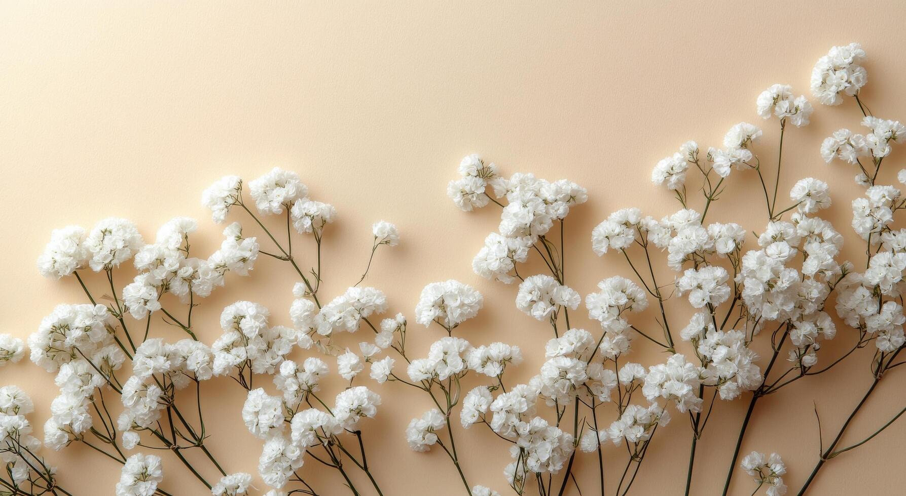Delicate white flowers arranged against a soft peach background in a calm interior setting photo