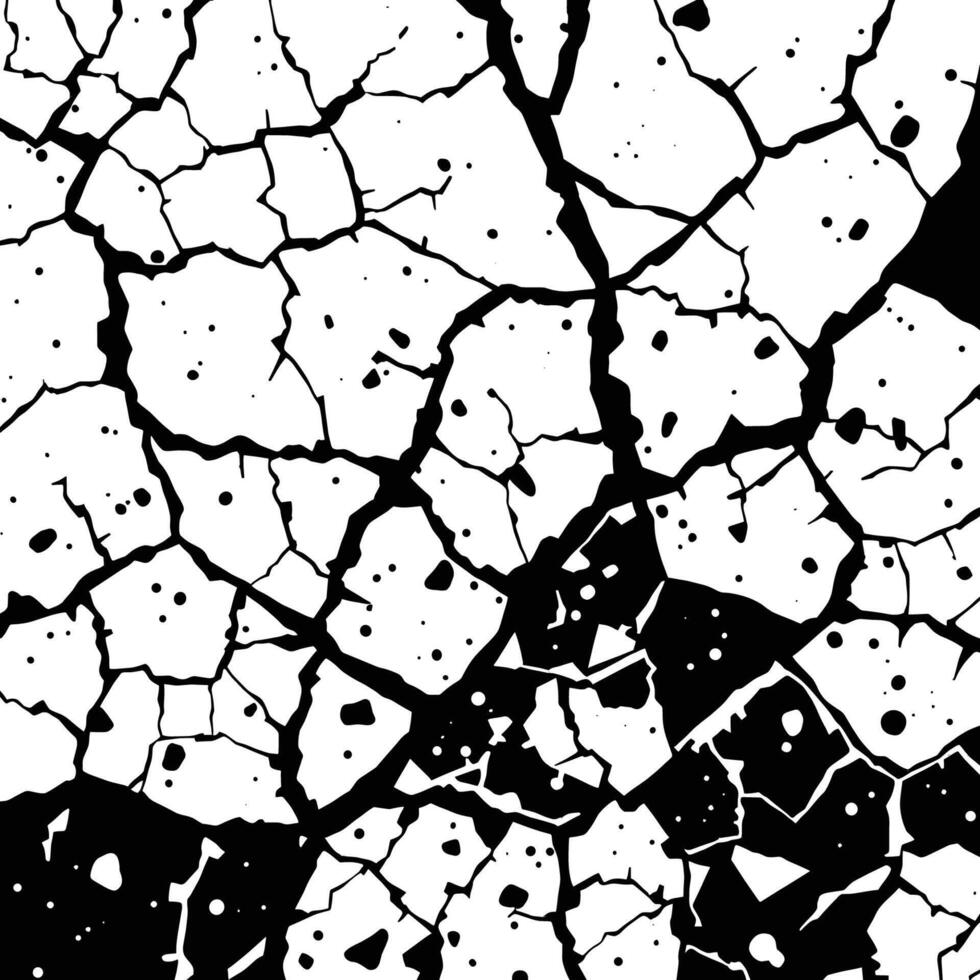 Abstract Black and White Cracked Texture Design vector