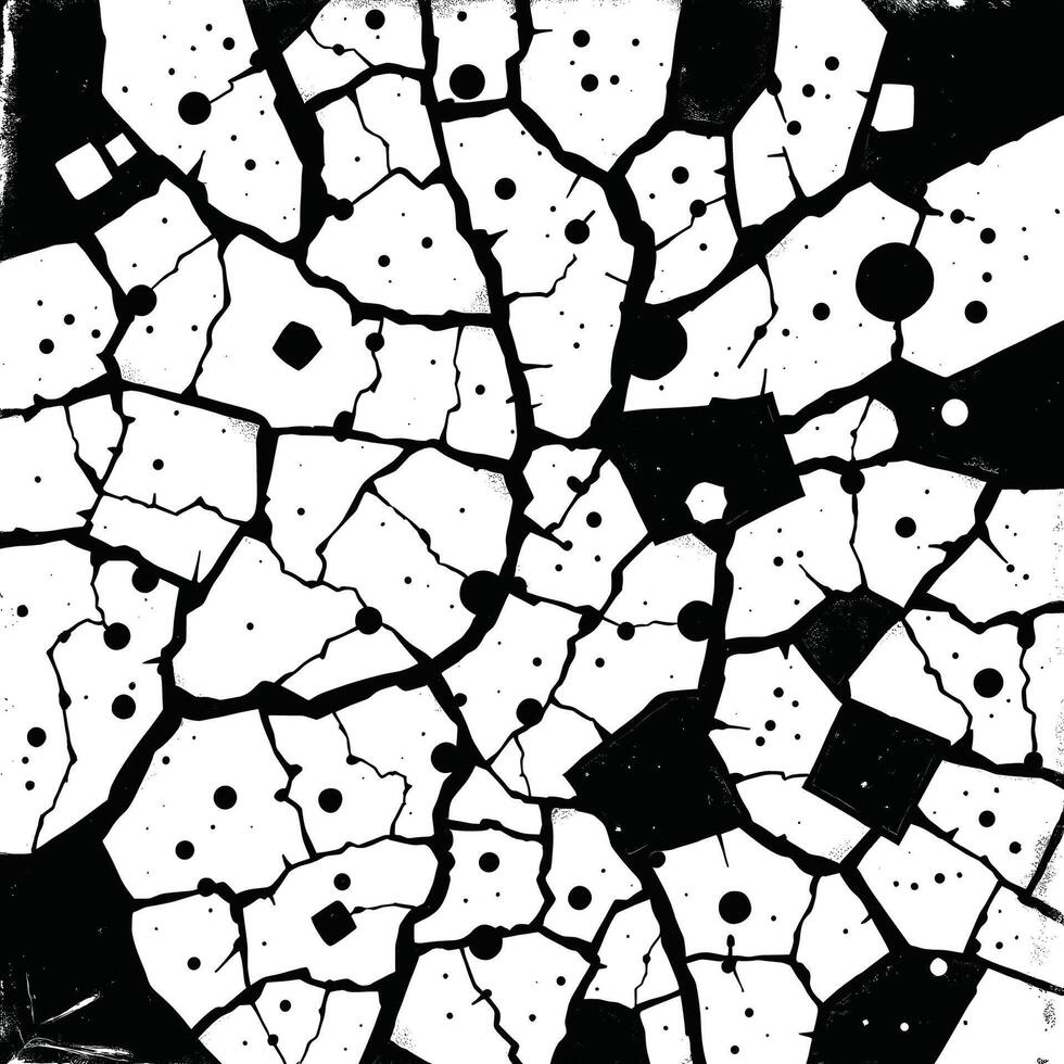 Abstract Black and White Cracked Texture with Geometric Shapes vector