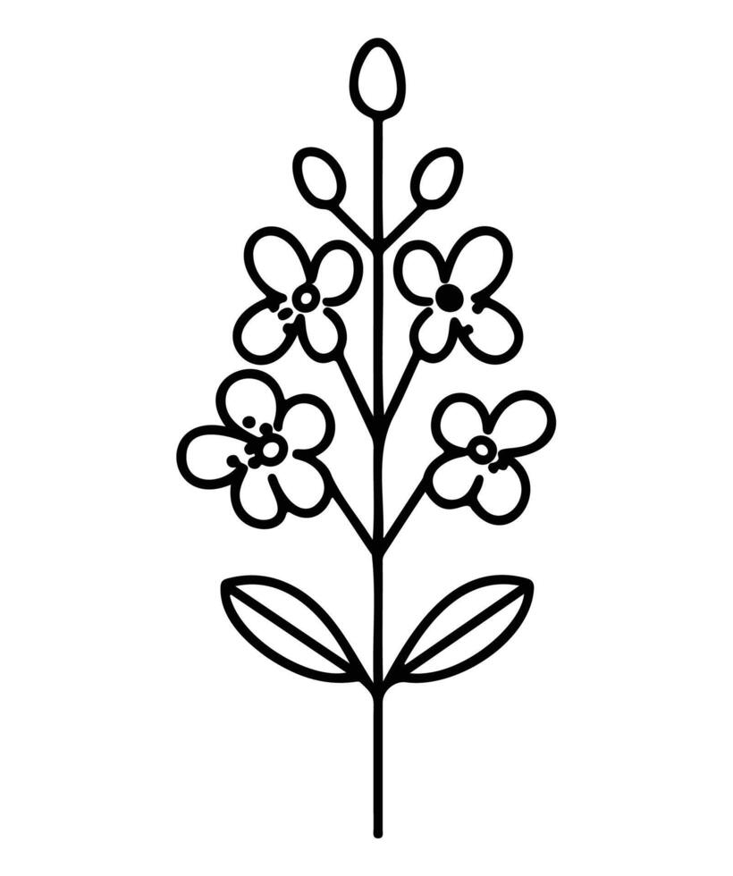 A minimalist black and white hand-drawn illustration of a lavender flower with leaves. vector