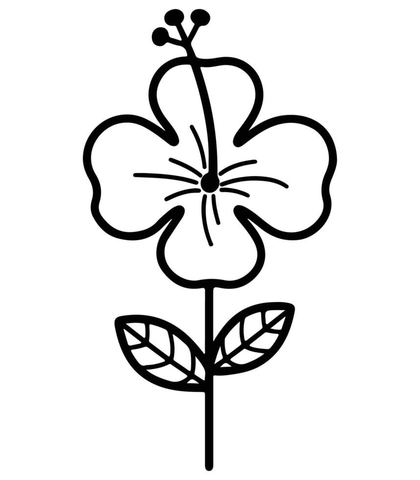 A delicate black and white cartoon illustration of a hibiscus flower, suitable for botanical and nature-themed designs. vector