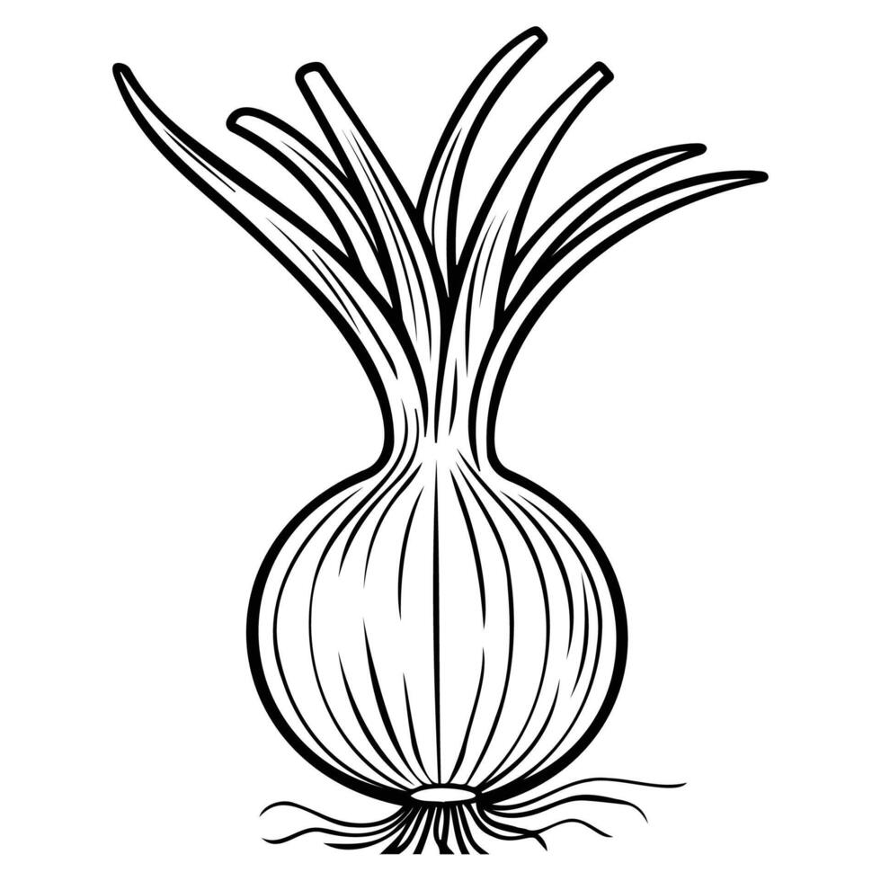 illustration of an onion in black and white, highlighting its detailed layers and simple design. vector