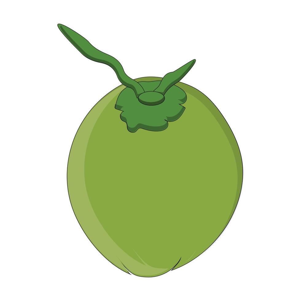 Green coconut icon illustration, Young coconut water icon. Summer coconut cocktail. Illustration of tropical exotic fruits in flat style. vector