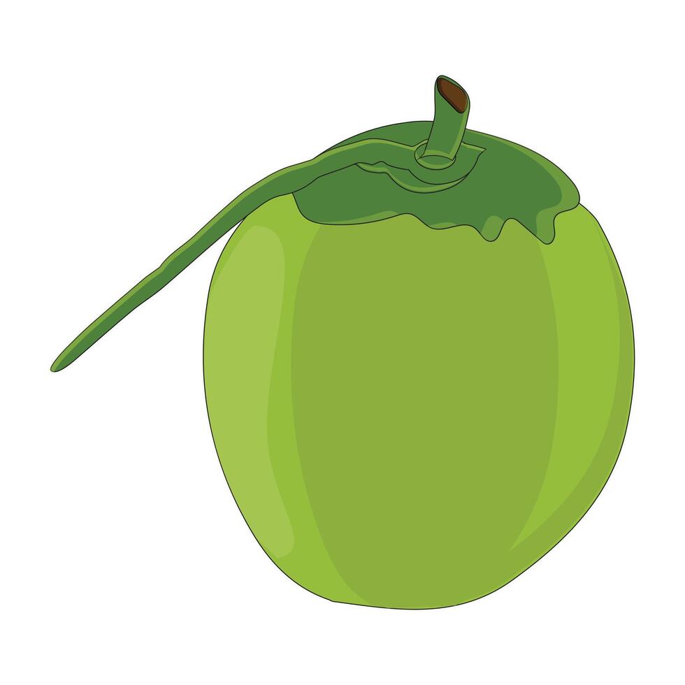Green coconut graphics, Young coconut water icon. Summer coconut cocktail. Illustration of tropical exotic fruits in flat style. Eigthteen vector