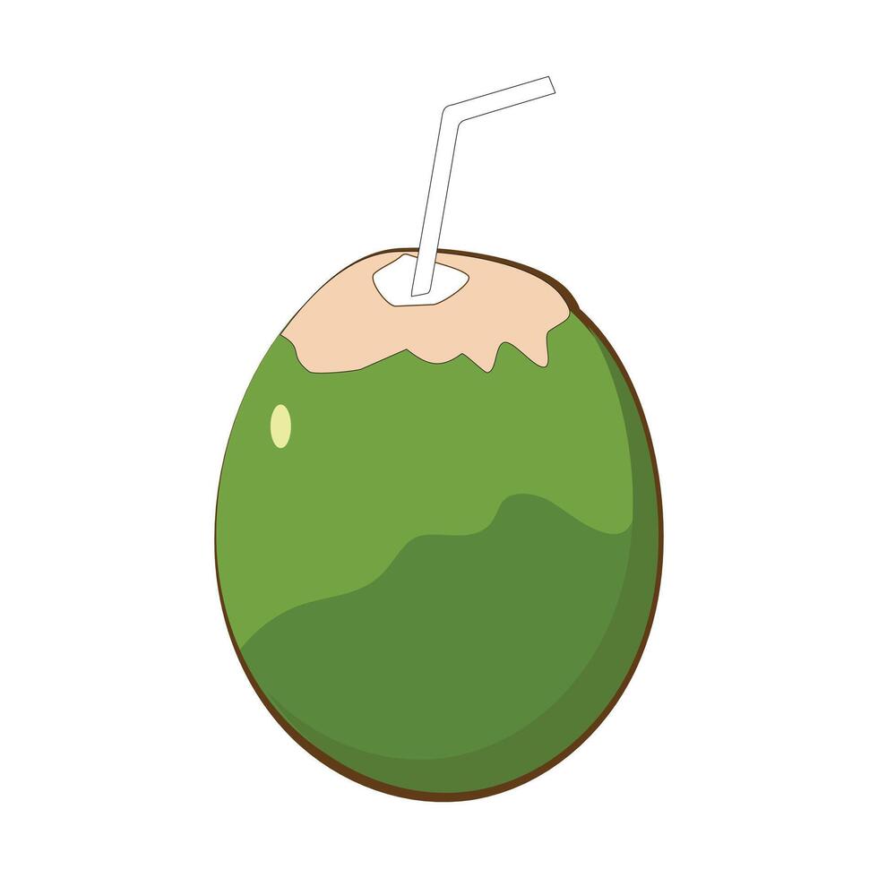 Green coconut graphics illustration, Young coconut water icon. Summer coconut cocktail, tropical exotic fruits in flat style. vector
