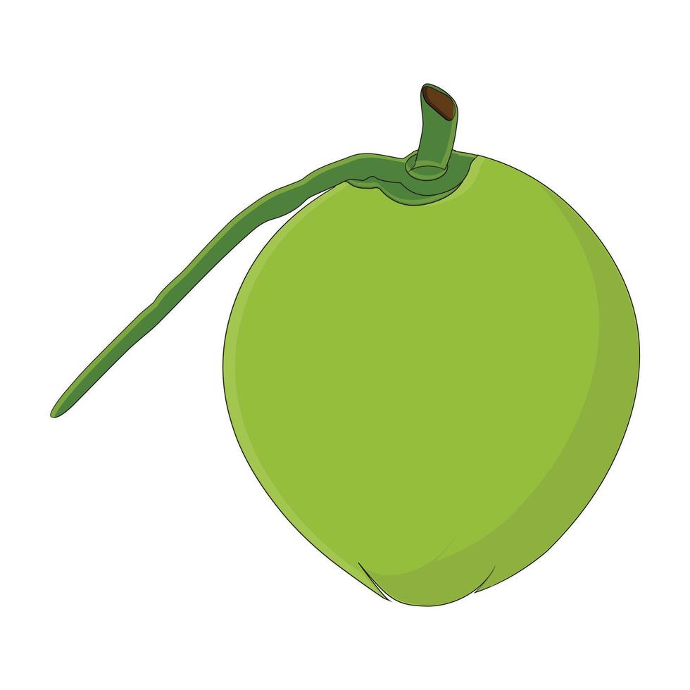 Green coconut graphics, Young coconut water icon. Summer cocktail. Illustration of tropical exotic fruits in flat style. vector