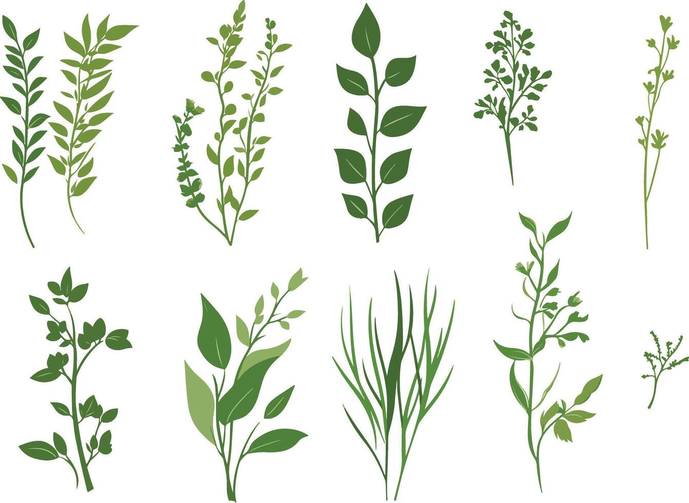 various green leaves botanical and nature designs vector