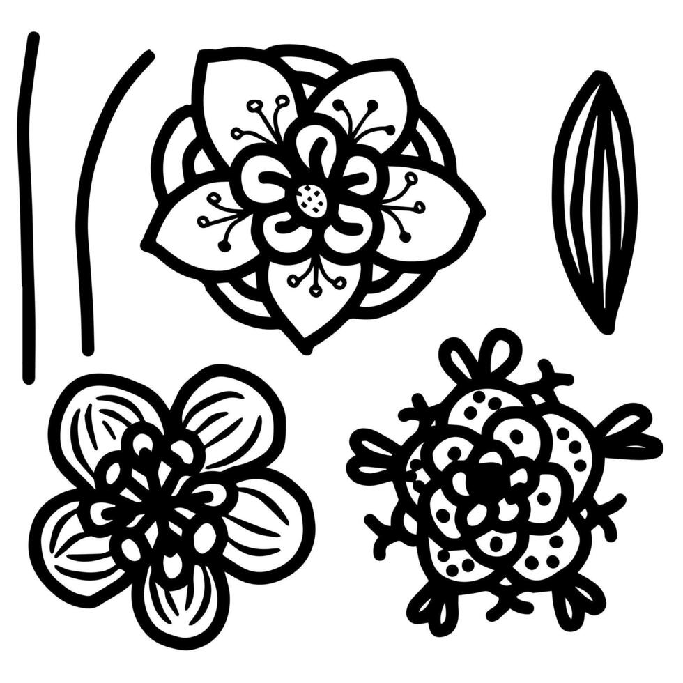 Set of fantasy flowers in doodle style. illustration isolated on white background. vector