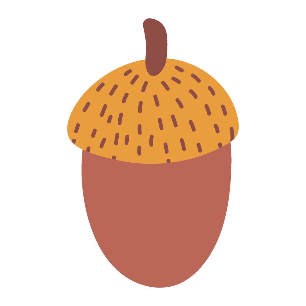 Cute acorn. Isolated illustration for autumn design vector
