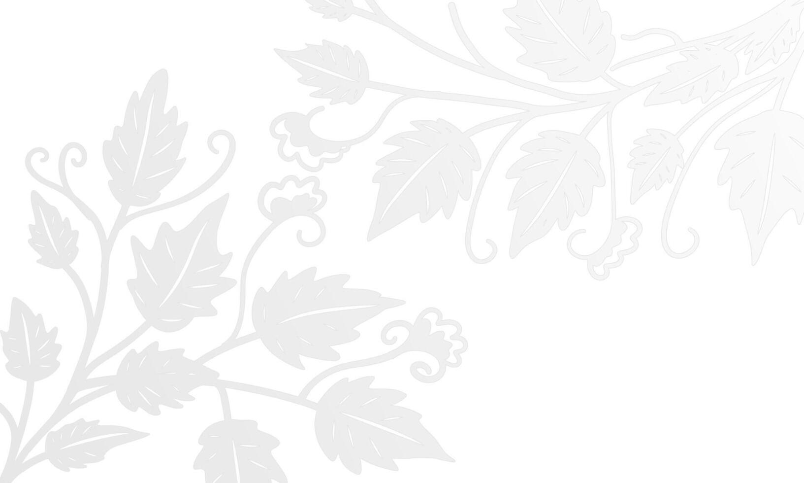 White Background with Subtle Gray and White Botanical Accents vector