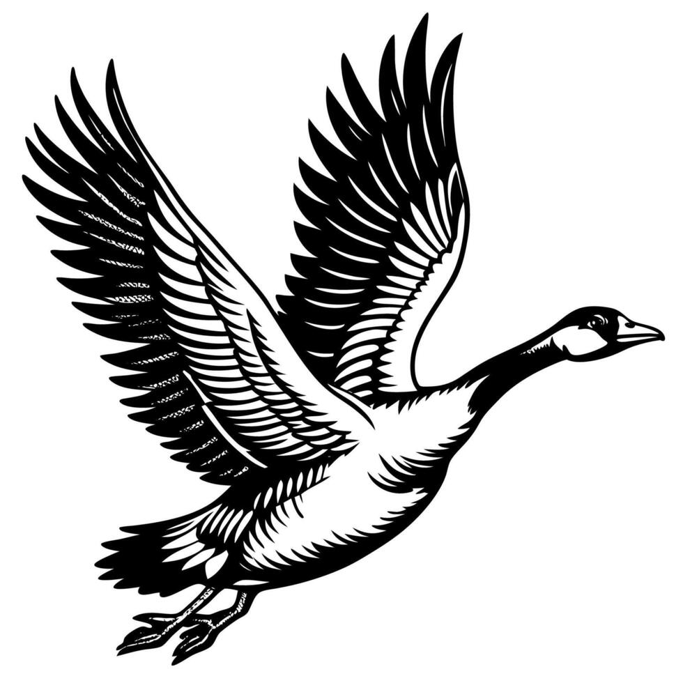 Canada goose flying clip art vector