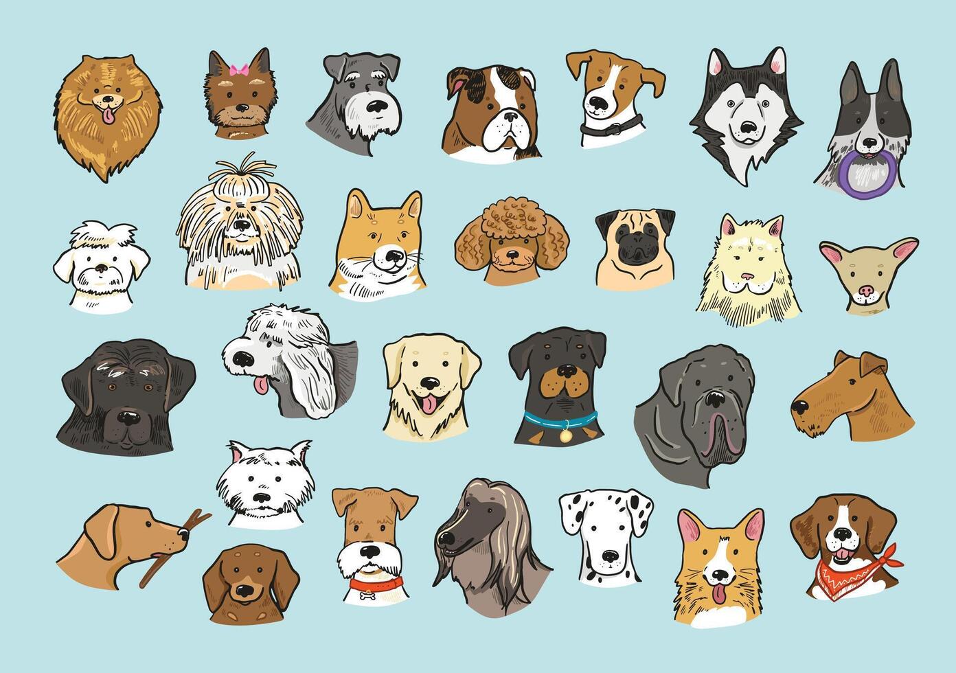 Set of different dog breeds illustration in a flat style. vector