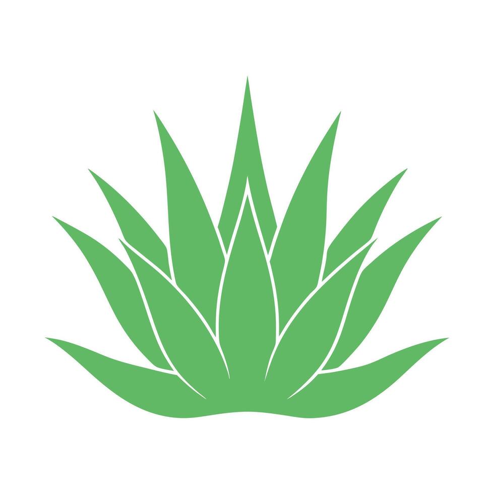 An aloe vera plant icon on a white background vector