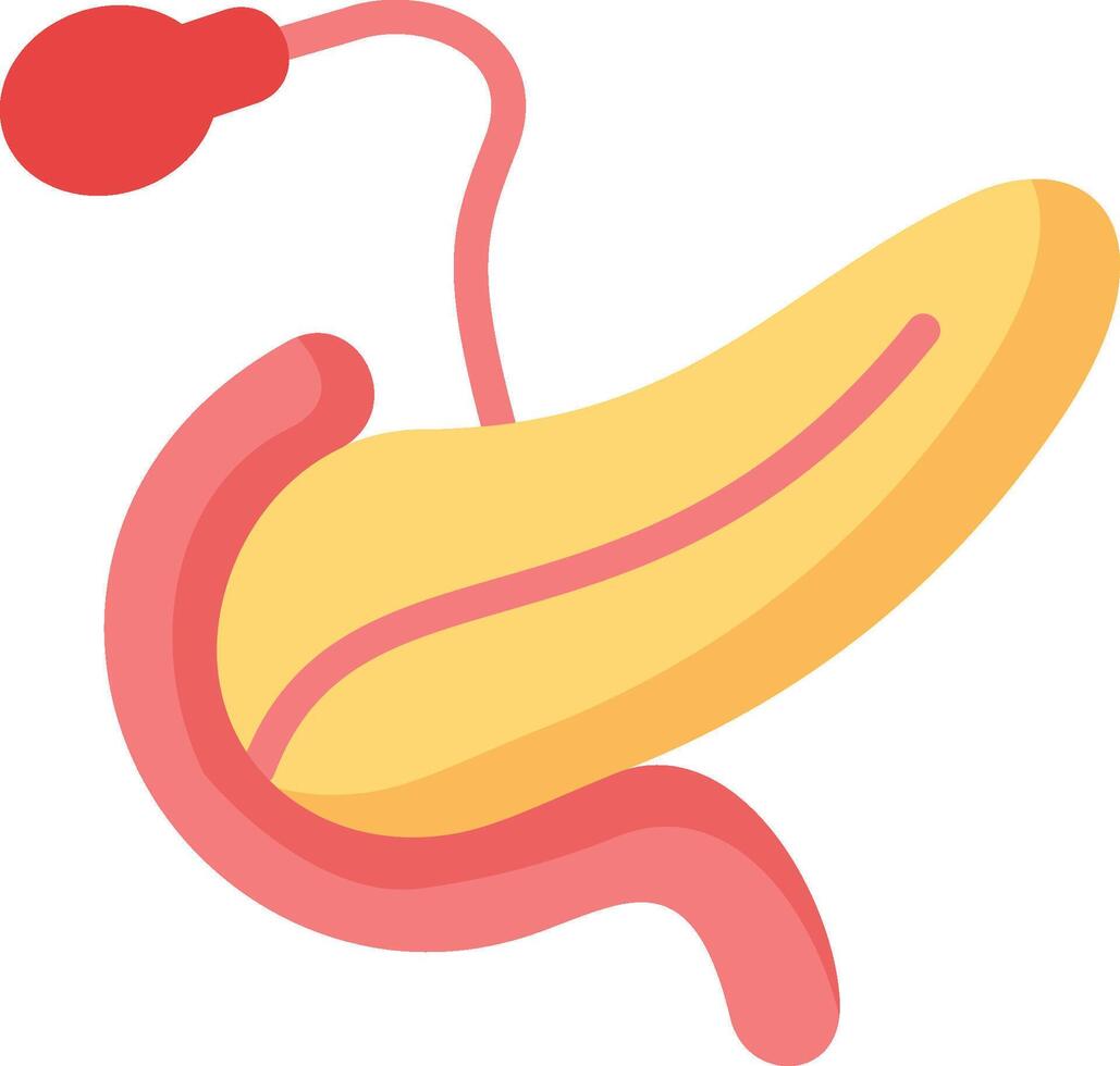 Pancreas flat icon illustration vector