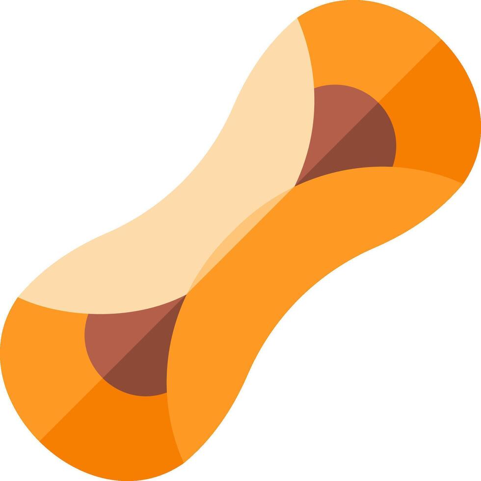 A peanut is shown in an orange and brown color vector