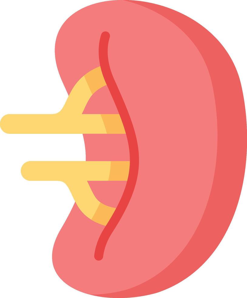 A kidney with a yellow stem vector