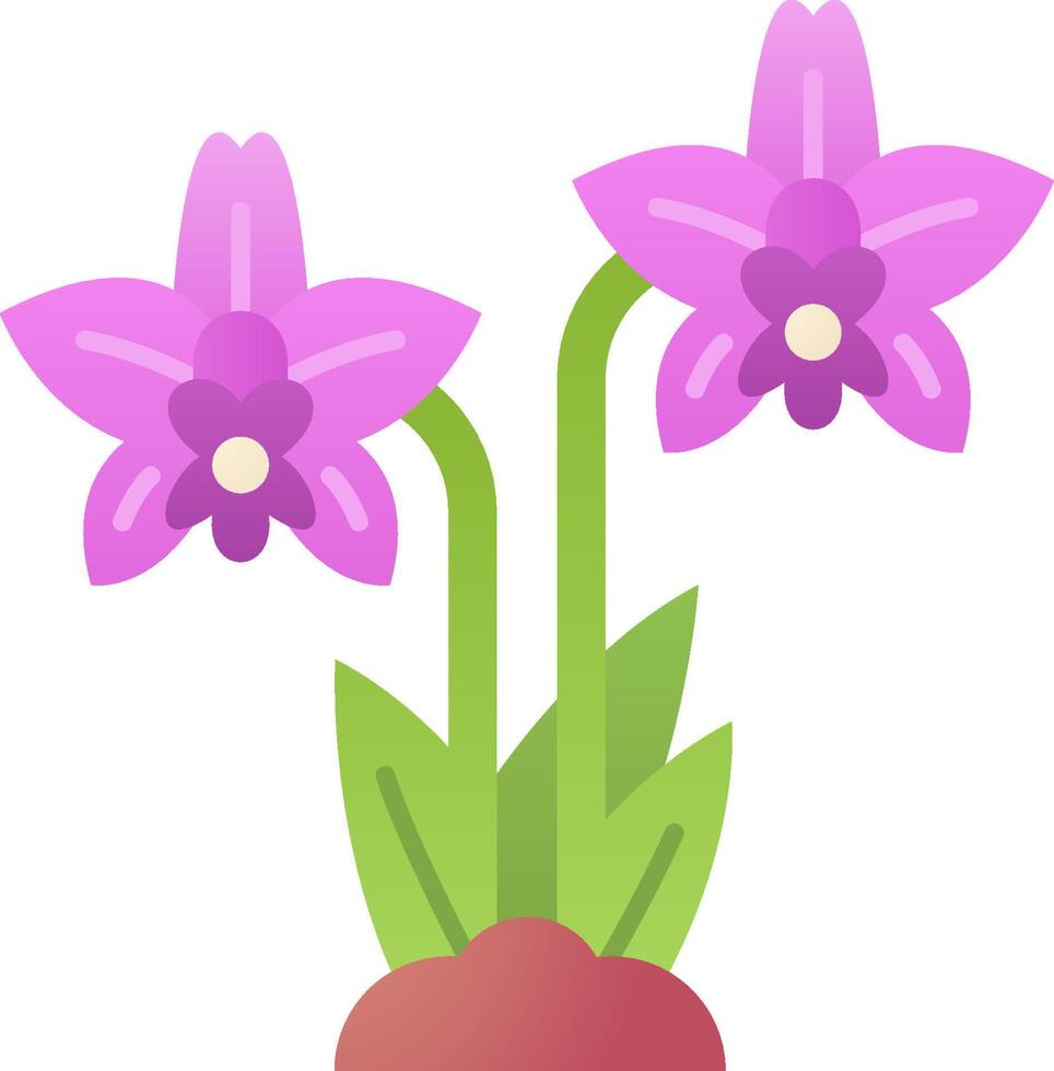 A purple flower in a pot on a white background vector