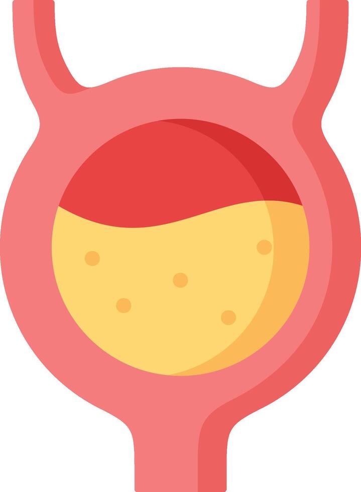 An illustration of the stomach vector