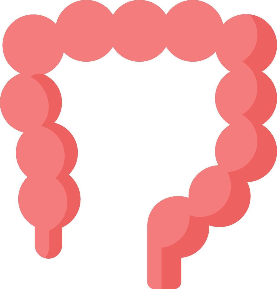 An illustration of the colon vector