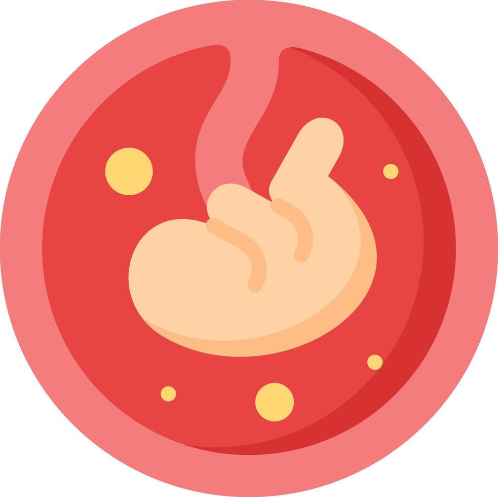An illustration of a stomach with a baby inside vector