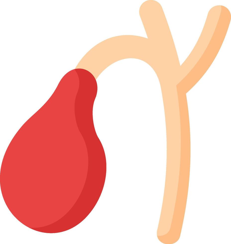 A red kidney on a white background vector