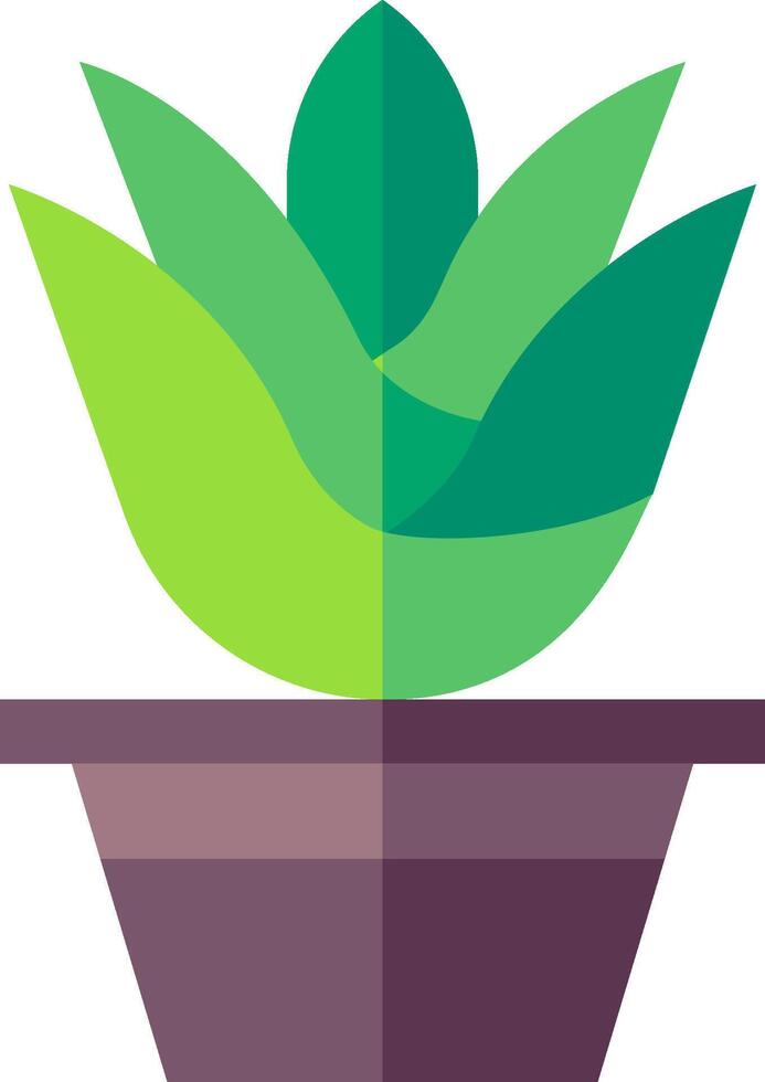 A green plant in a pot on a white background vector