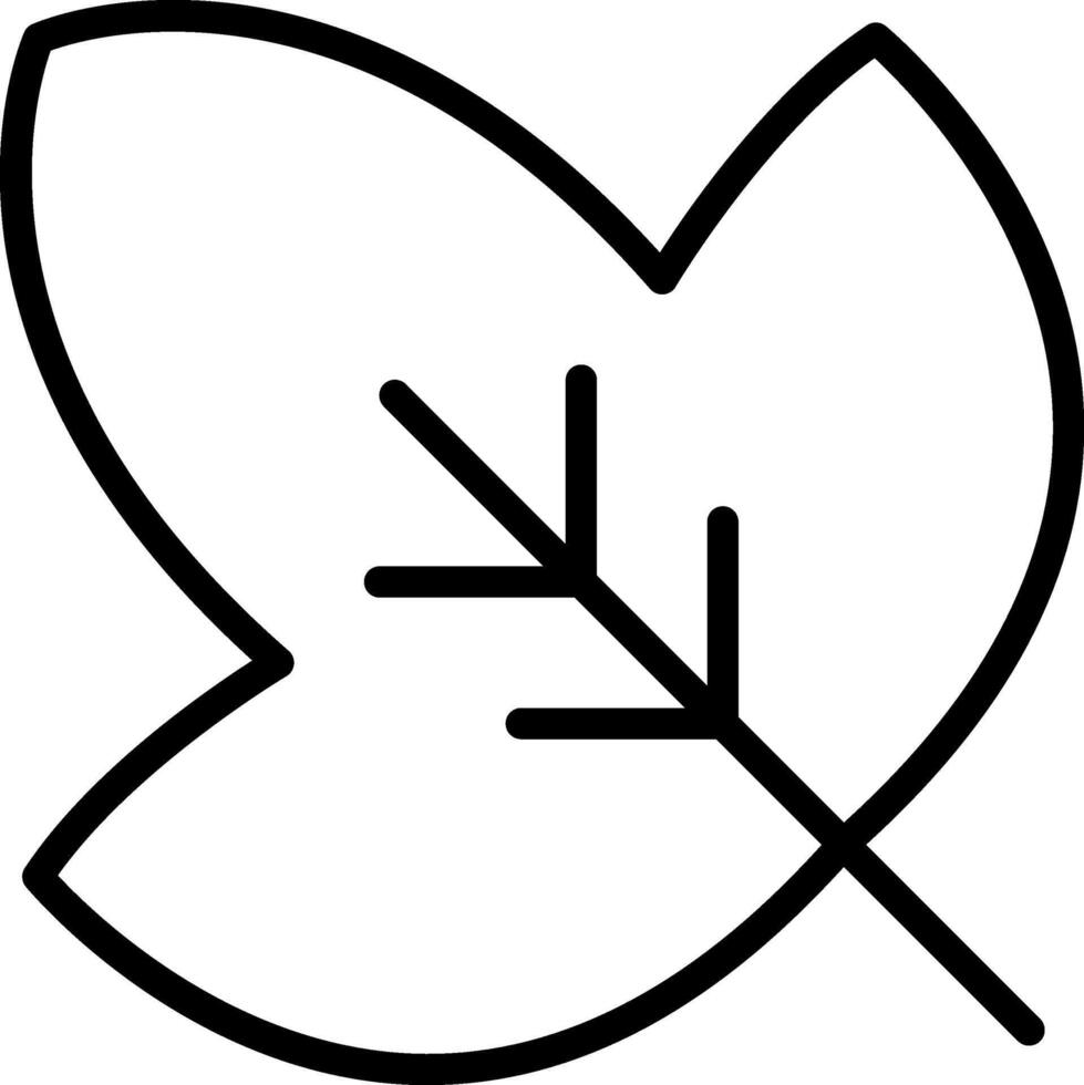 A leaf outline on a white background vector