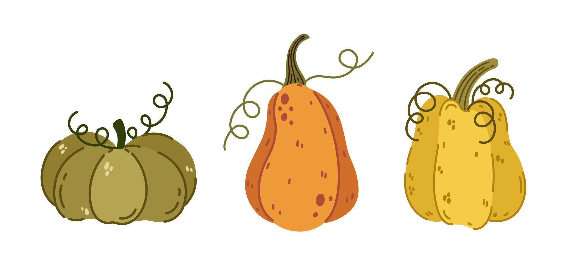 Colorful autumn pumpkins icon set. Ripe farm gourds with curly stems. Festive garden vegetables for Halloween, Thanksgiving, holiday, fall party. Cartoon doodle, hand drawn isolated clipart vector