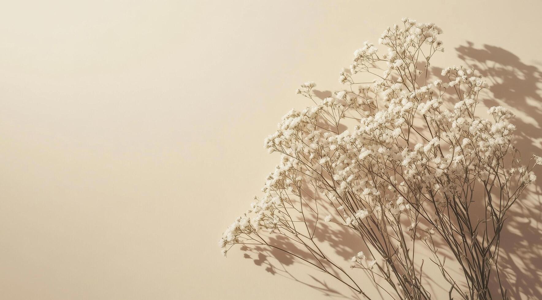 Delicate white flowers arranged on a soft pastel background in a serene indoor setting photo