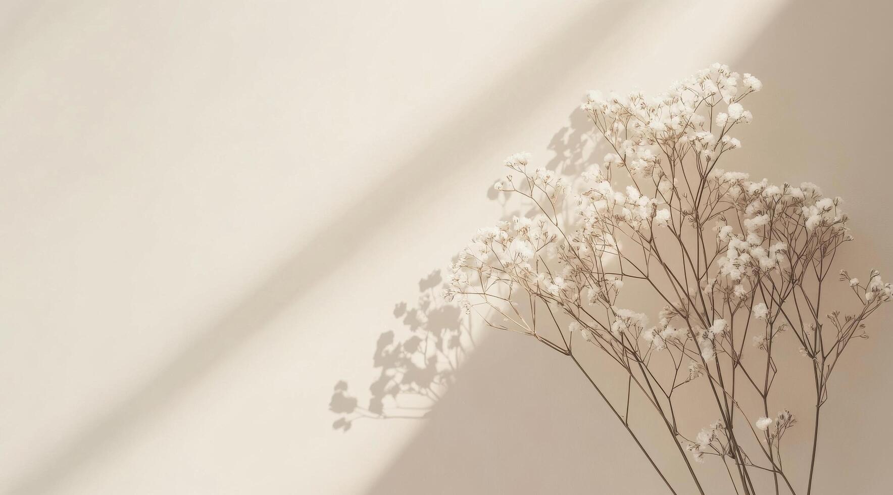 Delicate white flowers arranged on a soft pastel background in a serene indoor setting photo