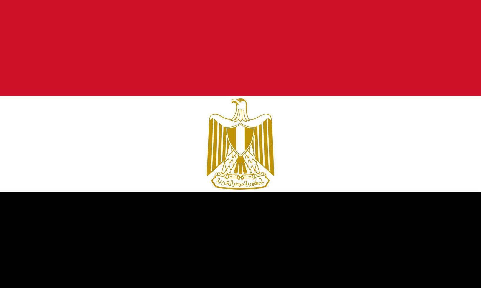 Egypt flag national material design vector