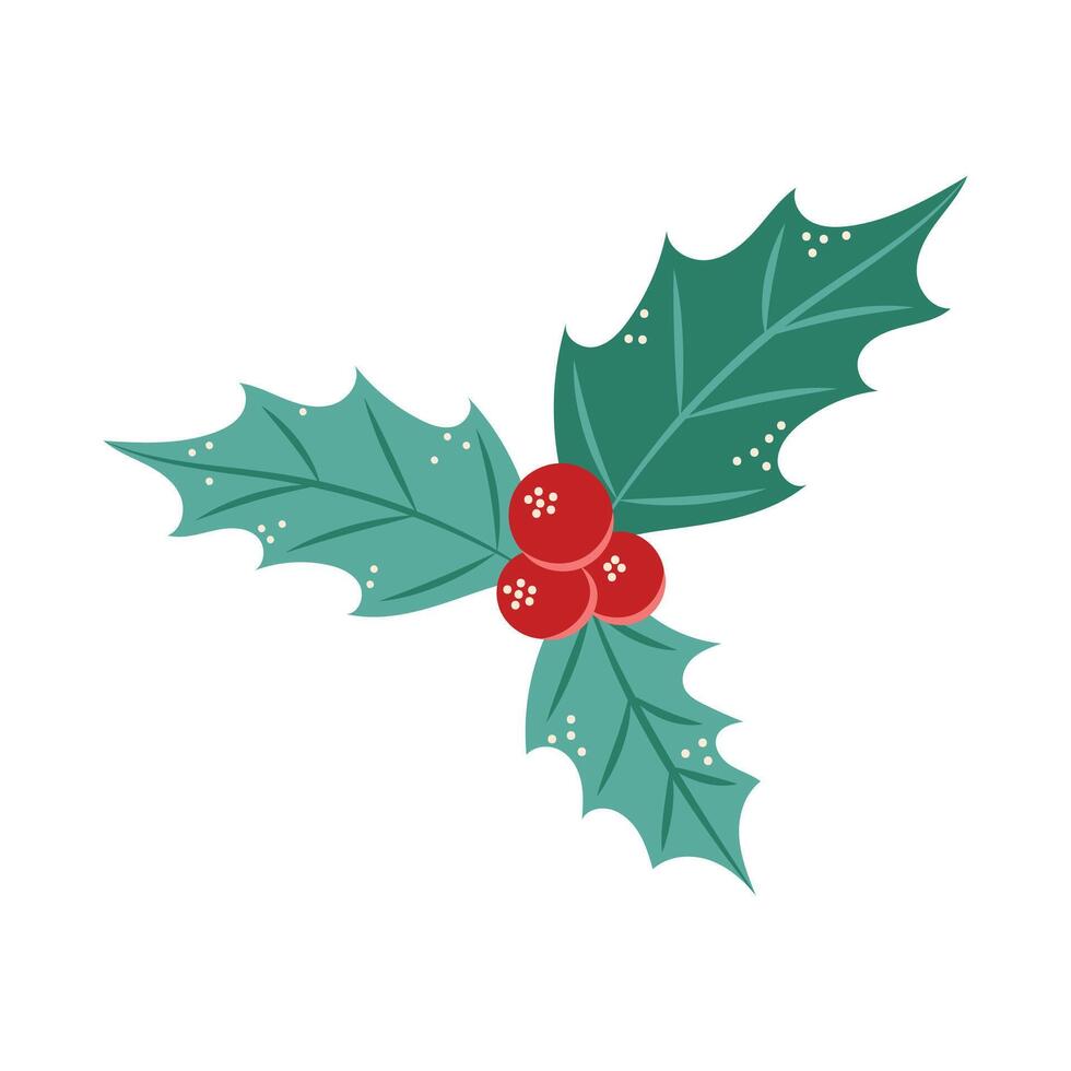 Holly illustration on a white background. Isolated element for design of cards, patterns, banners. Christmas and New Year. illustration. vector