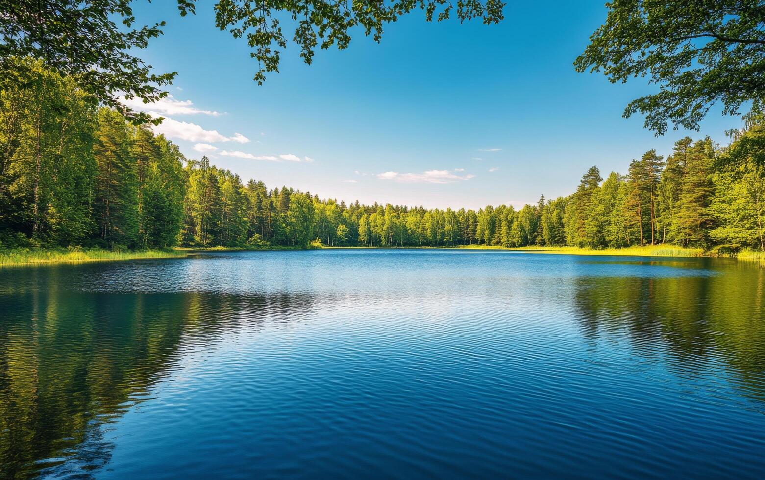 A peaceful lake reflecting blue skies and lush greenery under bright sunlight in summer photo