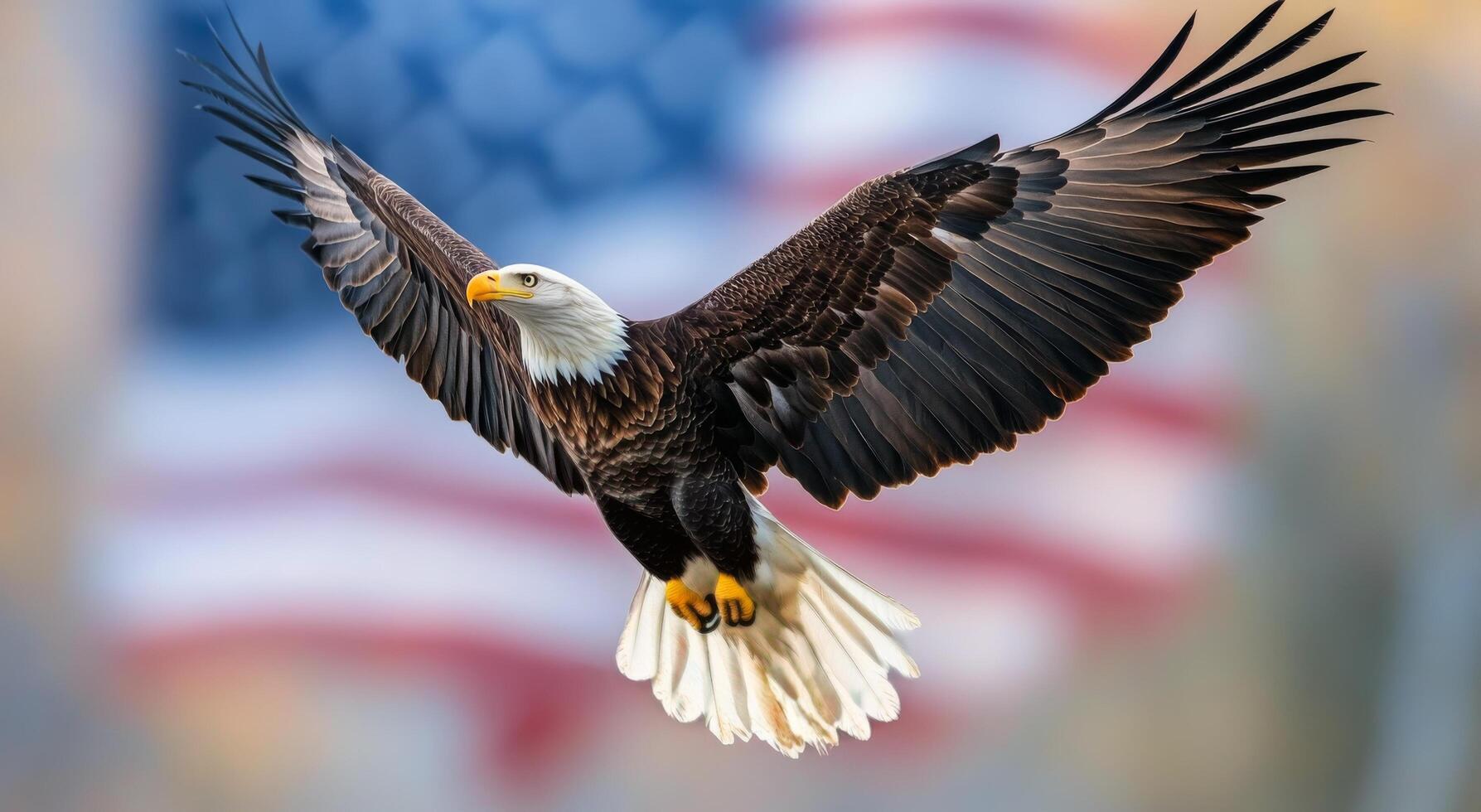Bald eagle soaring majestically over a blurred American flag backdrop at sunset photo