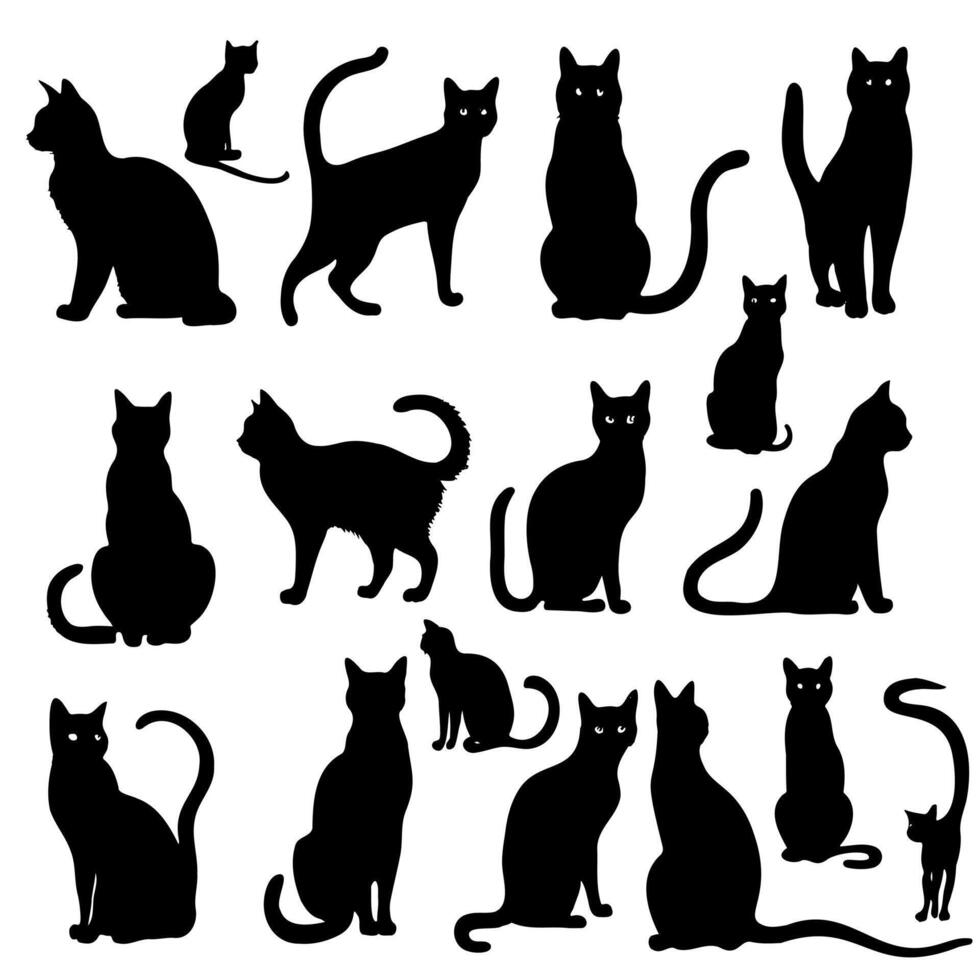 Set of isolated silhouettes of cats for your design. vector