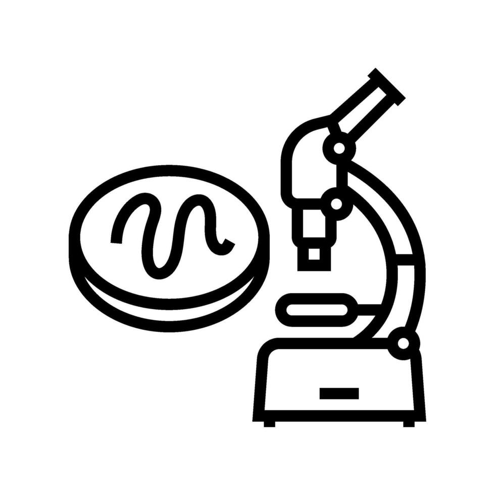microscope worm parasite line icon illustration vector